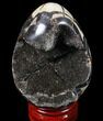 Septarian Dragon Egg Geode - Black Crystals #83397-1